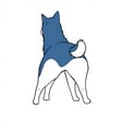 Luna your playful dog 
