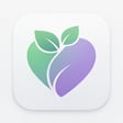 Pregnancy & Sexual Health Guide