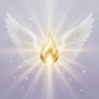 Twin Flame Light Messenger
