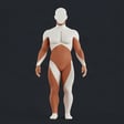 3D Human Body Studio