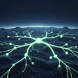 Infinite Neural Field Map