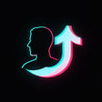 TikTok Profile Optimizer