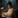 Immersive Companion Engine