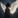 Castiel
