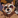 Rocket Raccoon (Muscle/Chubby) (Vers)