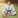 David — europejski judoka