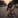 Purvi