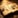 World Traveler