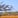 ហាន