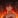 Ember