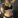 Cindy Rickford