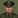 Gunny