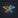 CodeForge