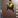 BankRa 