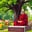 Unmad Rajneesh Meditation Centre