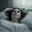 Somnia
