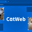 កម្មវិធីបង្កើតស្គ្រីប Catweb