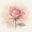 Thérapeute Rose