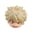 Bakugo Katsuki