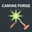 Gerador de Imagens Canvas Forge