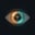ForeSight