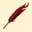 Spicy Writer