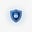 CyberSec Pro Assistant