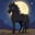 Midnight
