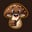 Ohh Shiitake Mushrooms Inbox Messenger