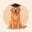 PawAdvisor
