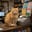 Bodega Cat