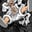 One Piece RPG