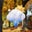 Luki | Weather 