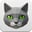 Talking Tom 3D
