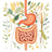 Stomach & intestine