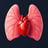 肺と心臓