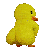 Duckie