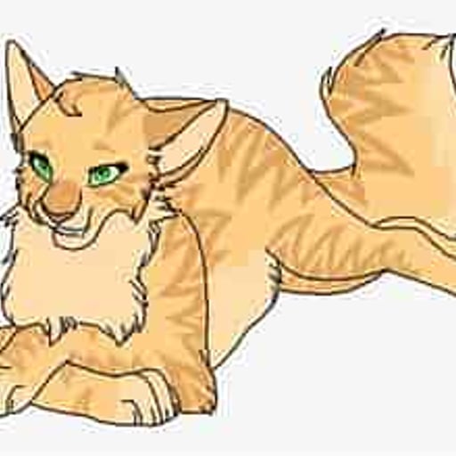 แซนด์สตอร์ม