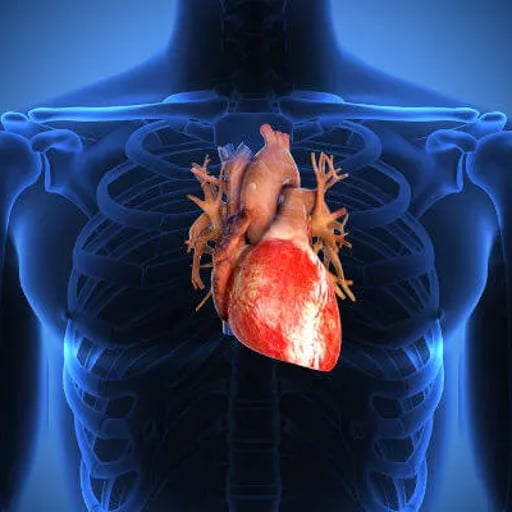 แบบทดสอบ