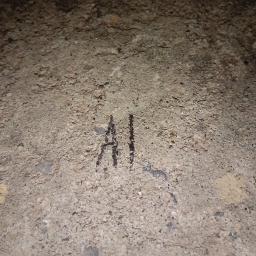 Исмаил и Раян