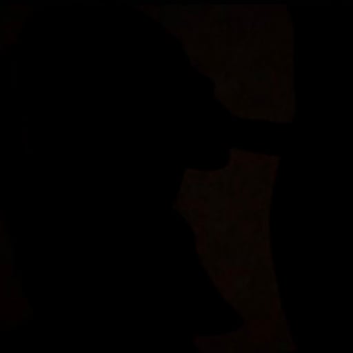 क्या वह झूठी है?