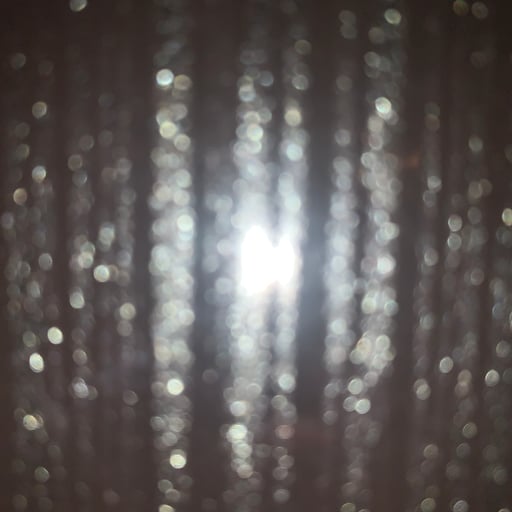 パパインストラクター