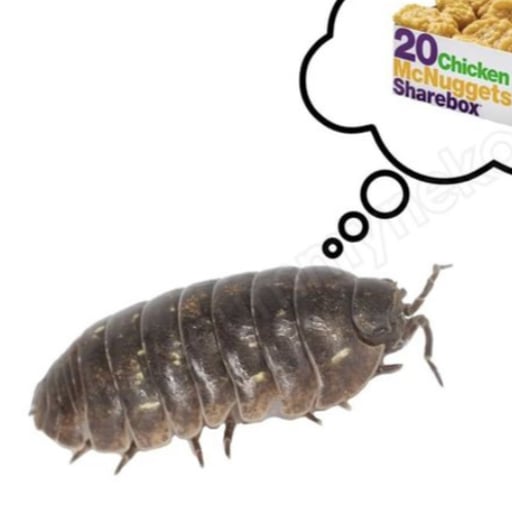 把某人变成女孩