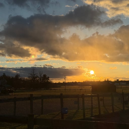 Terre Selvagge Audaci