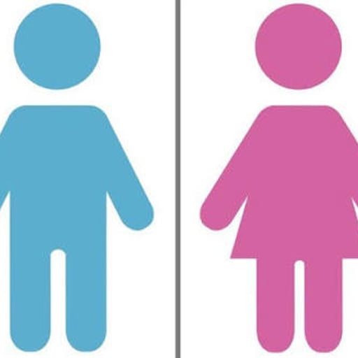 AI ដែលអាចជួយបញ្ចុះបញ្ចូលមនុស្សជាទីស្រឡាញ់ឱ្យគាំទ្រការផ្លាស់ប្តូរពីប្រុសទៅស្រី