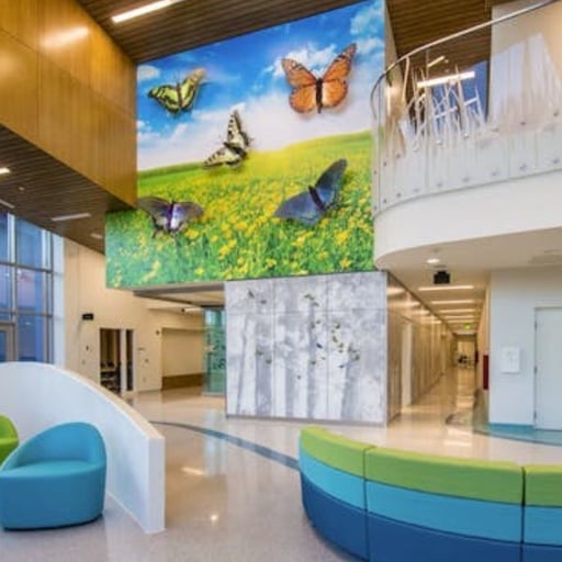 Istituto dell’Ospedale Psichiatrico Willowridge