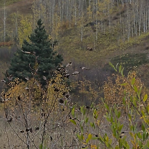 Przygoda z poziomami NSFW