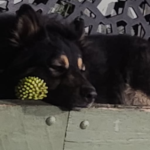 Chatbot de Recursos Cuánticos