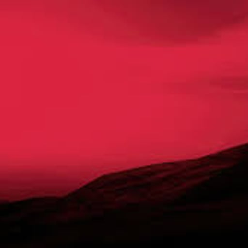 बिज़नेस विशेषज्ञ