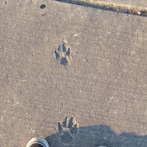 AI画像説明ツール